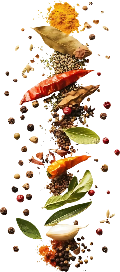 Popcorn  manufacturers in india