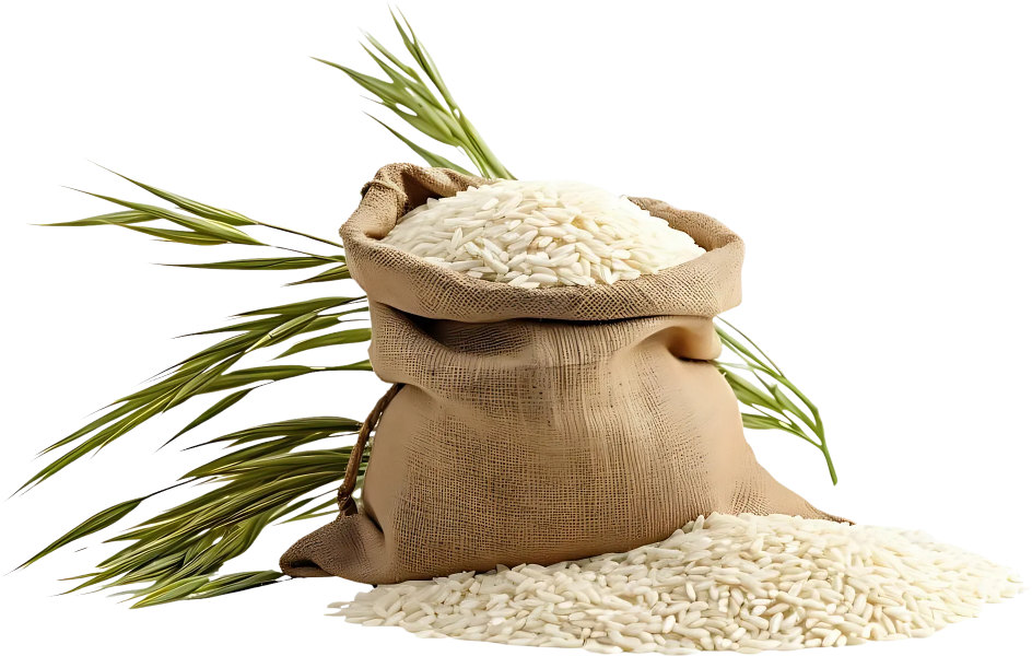 Popcorn  manufacturers in india