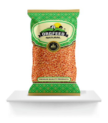 Popcorn  manufacturers in Delhi